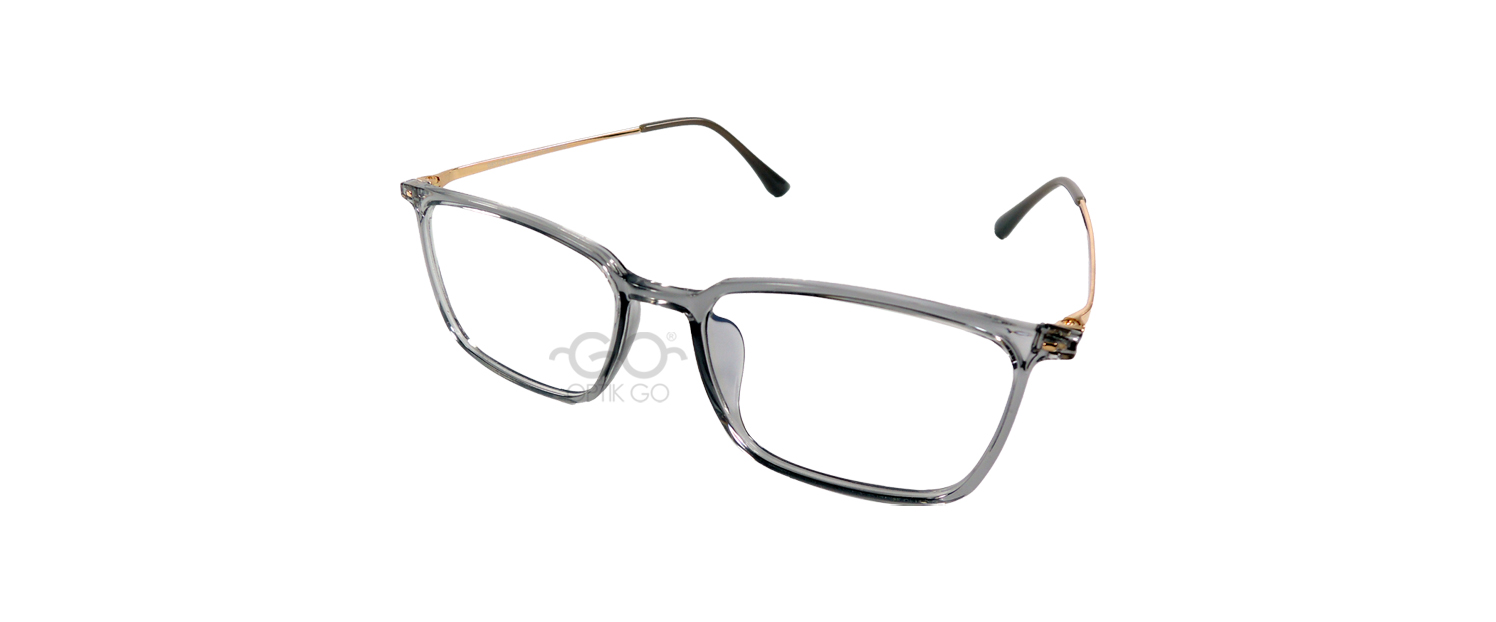 Louis Viollete 22304 / C10 Grey Clear Glossy
